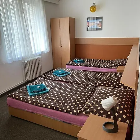 Vales מלון Borovany (Ceske Budejovice)